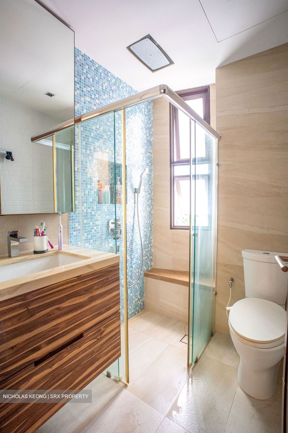 Rosevale (D11), Apartment #532278101